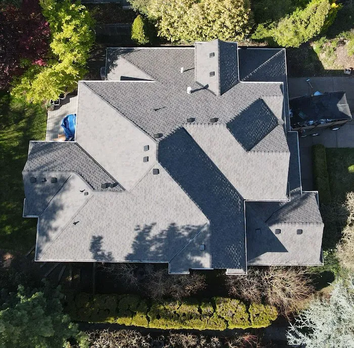 Orion Roofing Picture 10