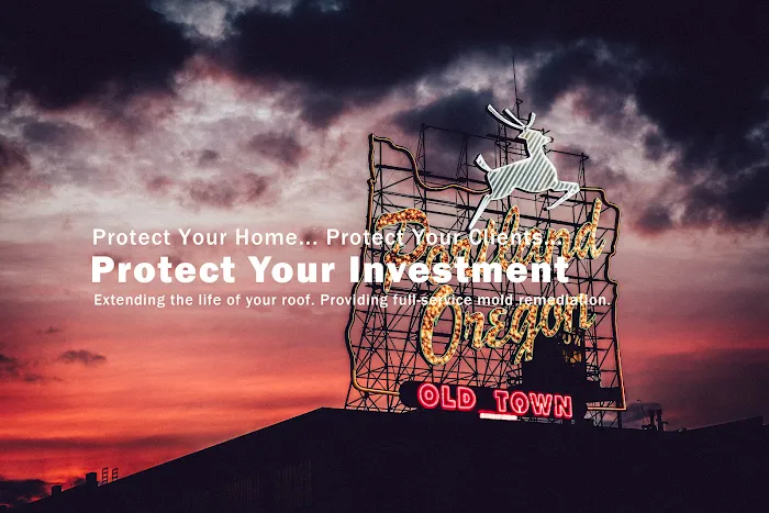 Real Estate Roofing & Mold Solutions Picture 2