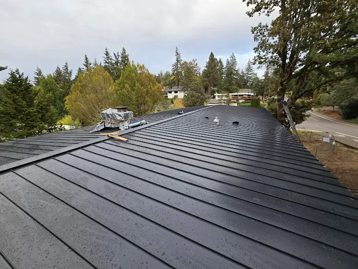 Sky Bright Metal Roofing Picture 3