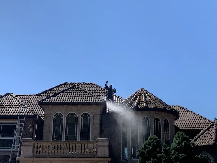 Moss Solutions LLC Picture 3