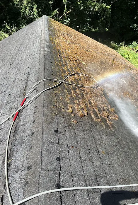 Moss Solutions LLC Picture 5