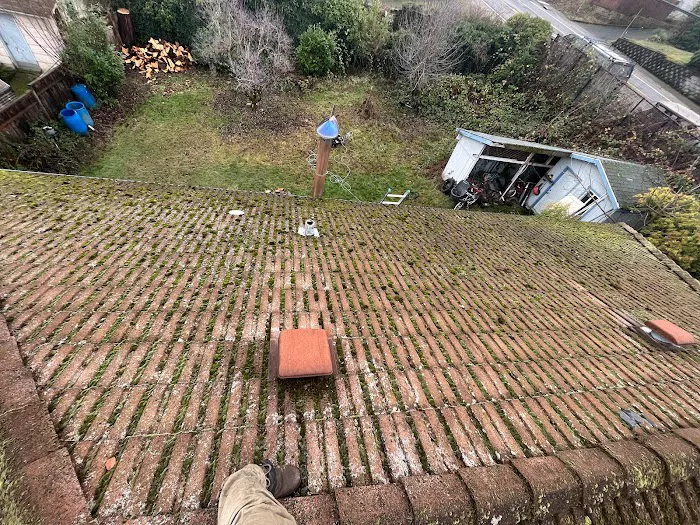 Moss Solutions LLC Picture 2