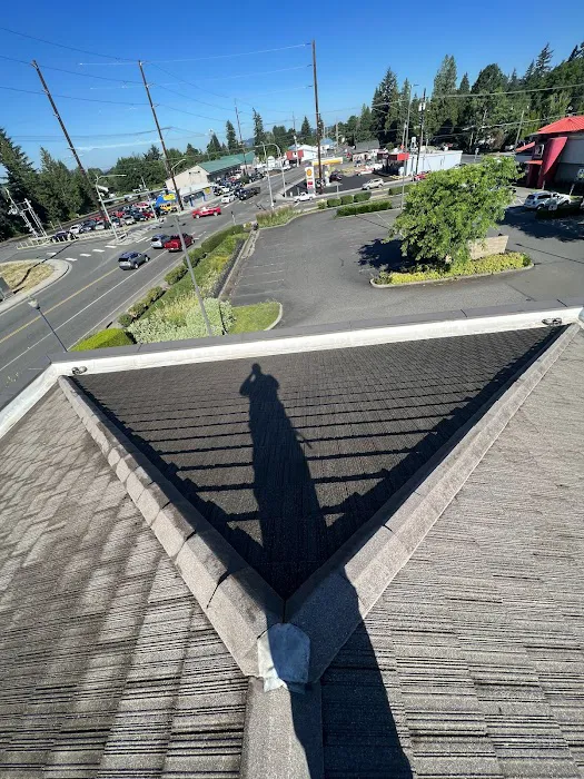 Moss Solutions LLC Picture 6