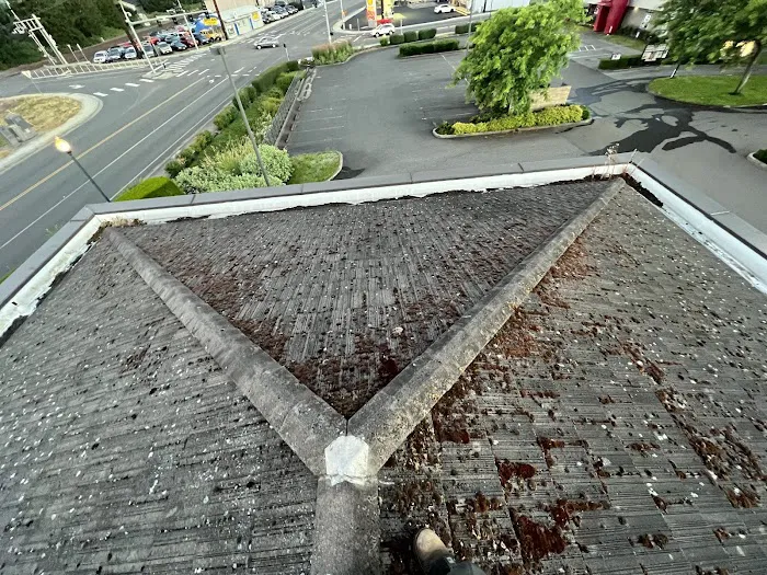 Moss Solutions LLC Picture 7