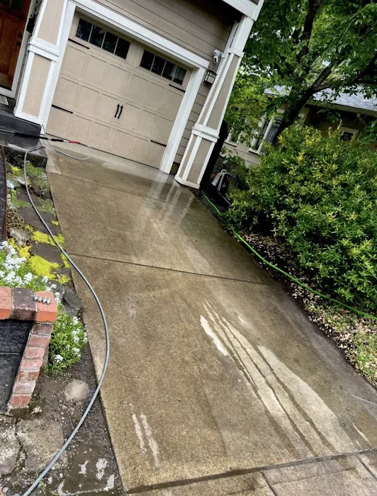 Moss Solutions LLC Picture 10