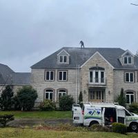 Moss Solutions LLC ico