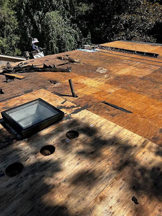 KVN Portland Roofing Picture 9