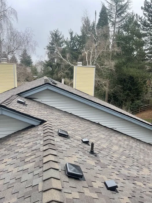 Ultimate Roofing LLC Picture 3