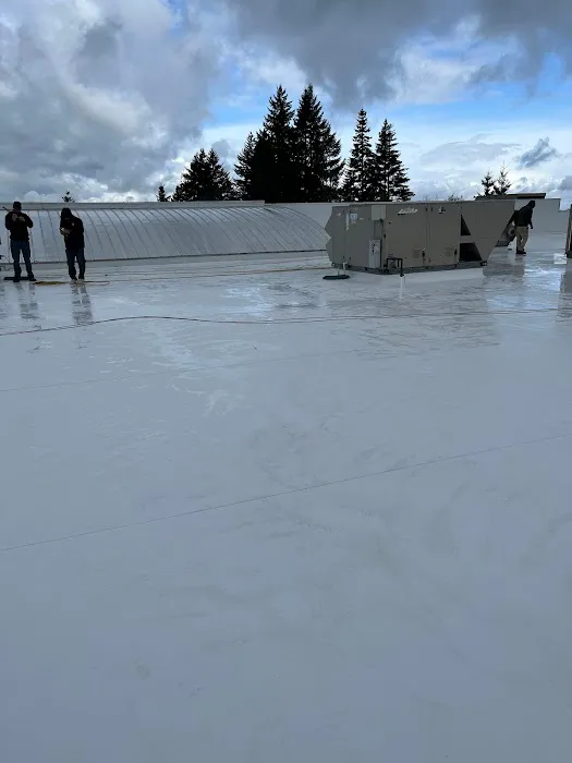 Got You Covered LLC Picture 9