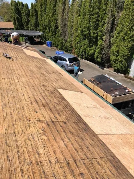 Got You Covered LLC Picture 5