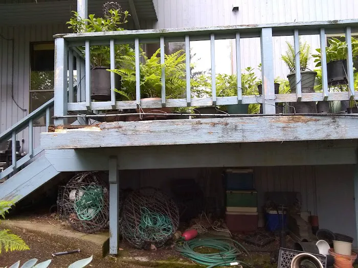 Roof Maintenance Of Oregon Picture 1