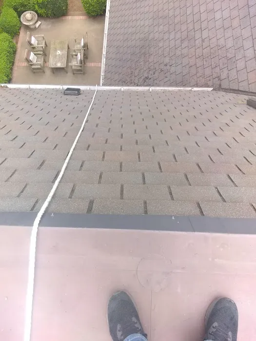 Roof Maintenance Of Oregon Picture 6