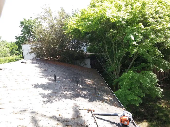 Roof Maintenance Of Oregon Picture 10