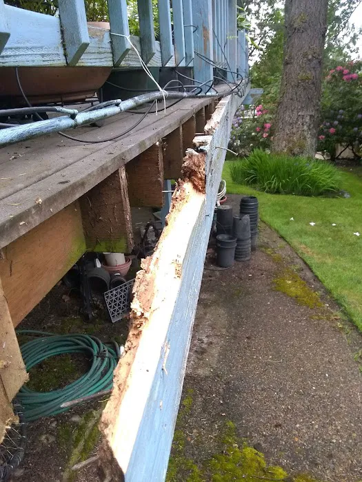 Roof Maintenance Of Oregon Picture 9