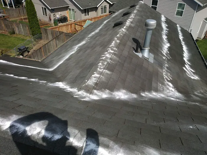 Roof Maintenance Of Oregon Picture 2