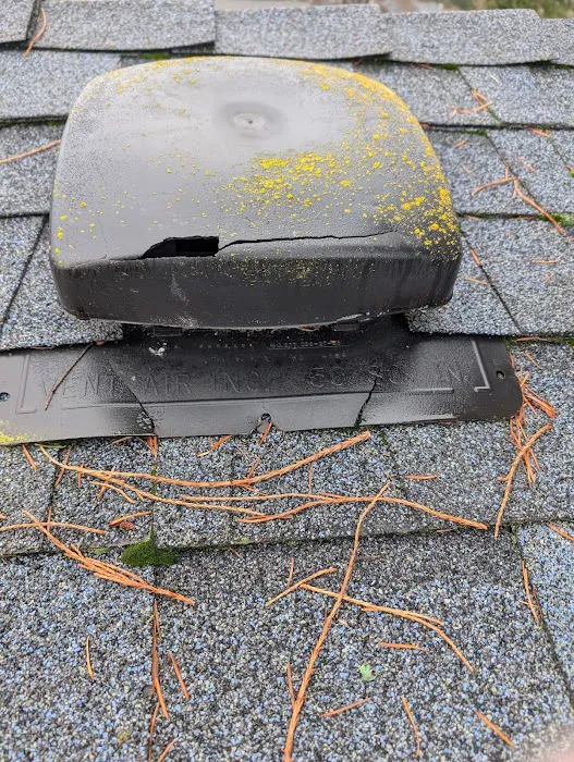 Bliss Roofing Picture 10