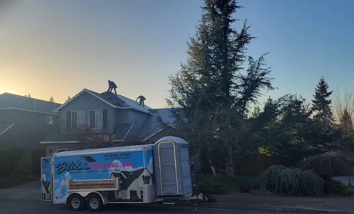 Bliss Roofing Picture 1