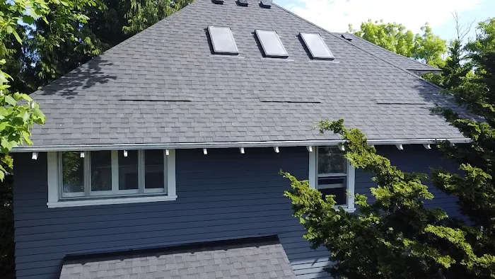 Bliss Roofing Picture 4