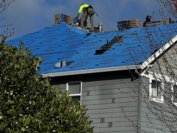 Bliss Roofing Picture 6