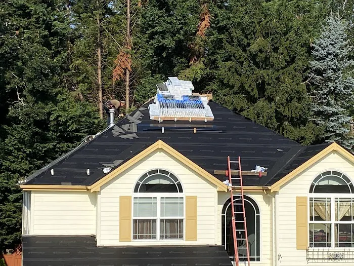 Sunnyside Roofing Services LLC Picture 8