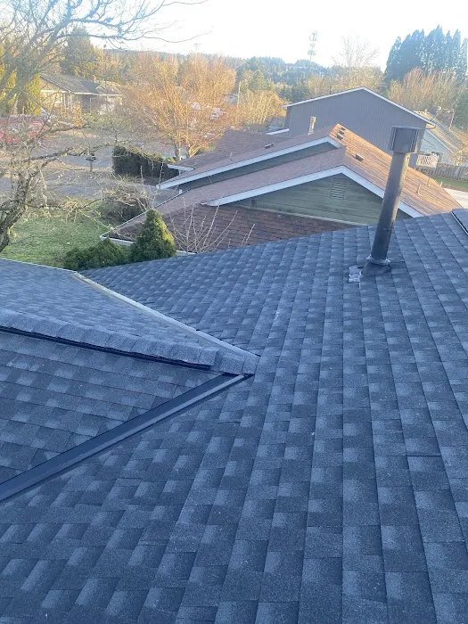 Geek Roofing Picture 7