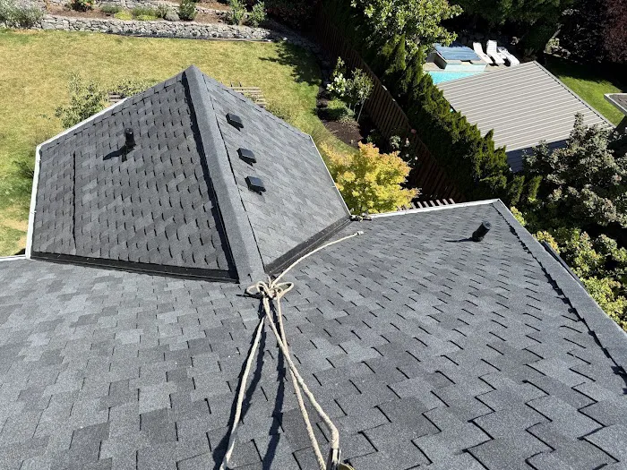 Geek Roofing Picture 5