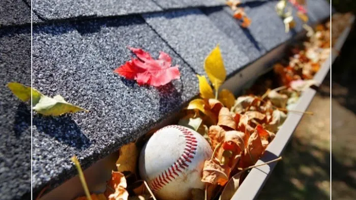 Roof and Gutters Specialists Picture 1