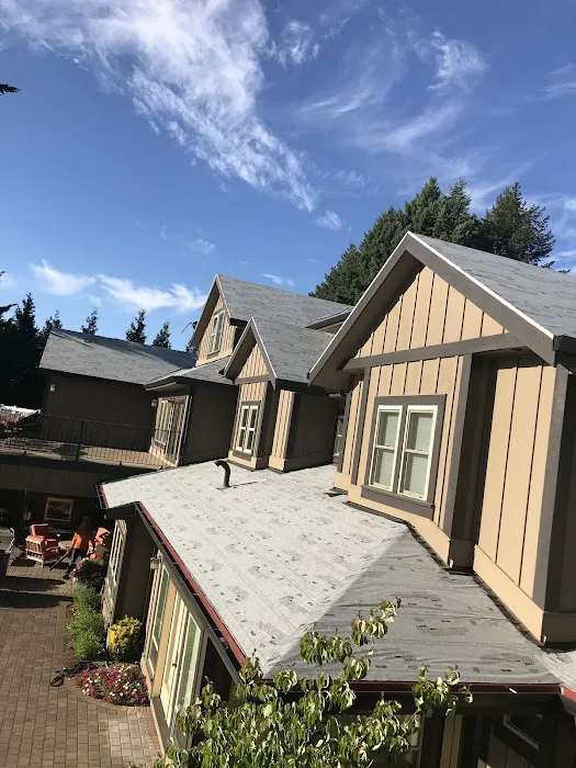 LION ROOFING & EXTERIORS LLC Picture 5