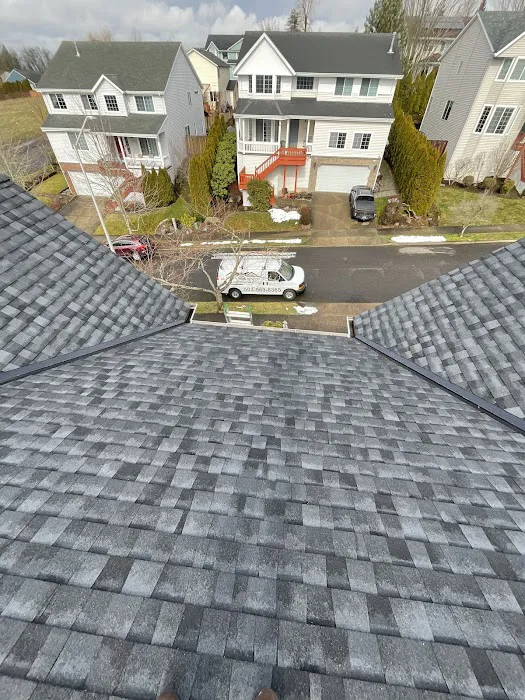 LION ROOFING & EXTERIORS LLC Picture 8