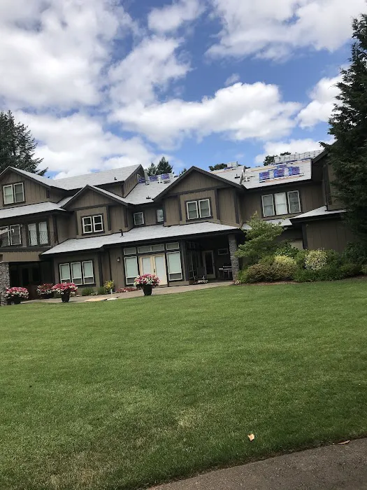 LION ROOFING & EXTERIORS LLC Picture 4