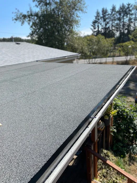 LION ROOFING & EXTERIORS LLC Picture 7