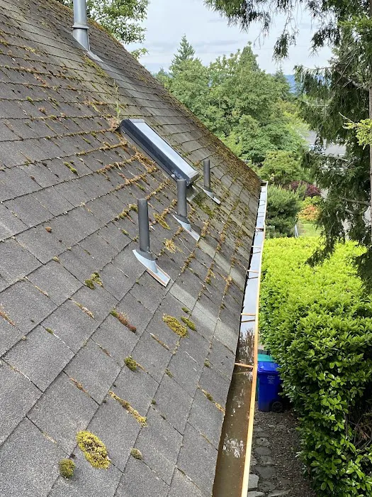 LION ROOFING & EXTERIORS LLC Picture 1