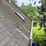 LION ROOFING & EXTERIORS LLC