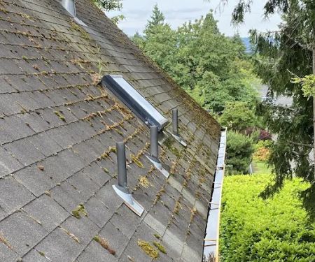 LION ROOFING & EXTERIORS LLC