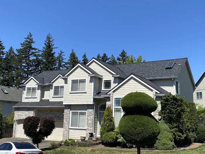 LION ROOFING & EXTERIORS LLC Picture 6