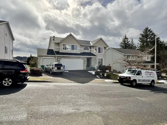 LION ROOFING & EXTERIORS LLC Picture 2