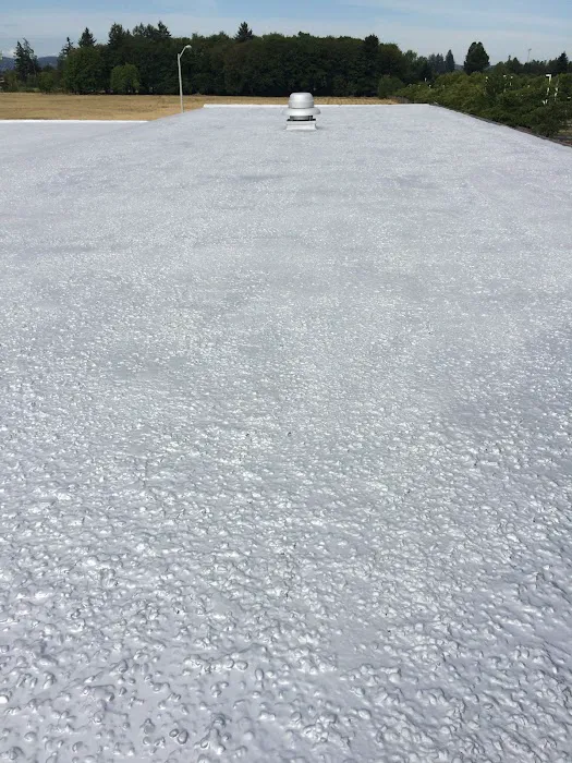 Holtzlander Roofing and Services, LLC Picture 7