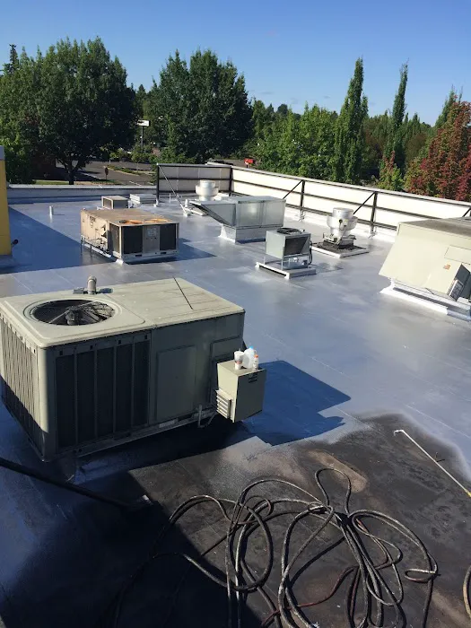 Holtzlander Roofing and Services, LLC Picture 3