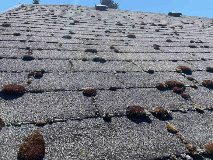 Rock Solid Roofing Picture 2