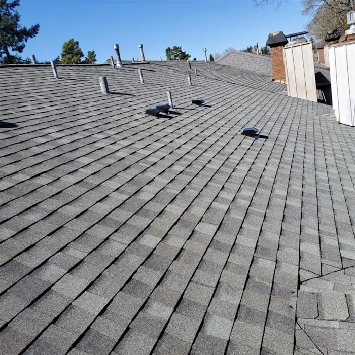 Isaac Roof Construction Picture 4