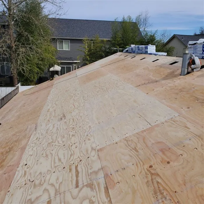 Isaac Roof Construction Picture 7