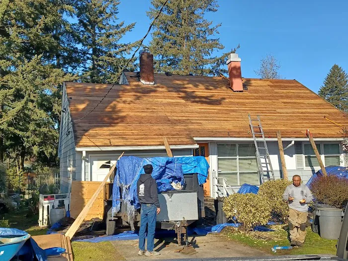 Official Fast & Son Roofing Picture 5