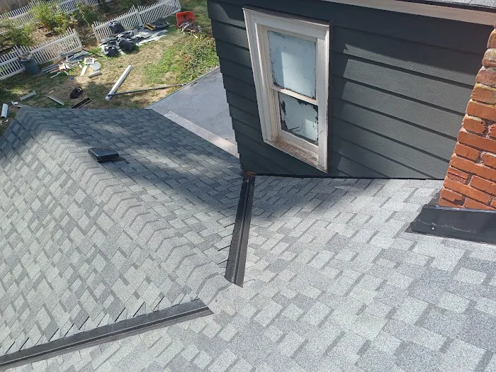 Official Fast & Son Roofing Picture 2