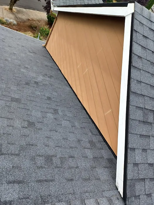 Official Fast & Son Roofing Picture 4