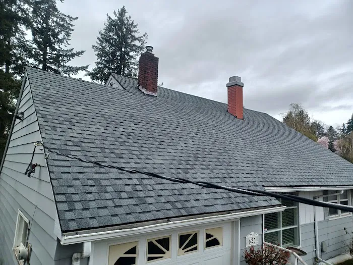 Official Fast & Son Roofing Picture 6