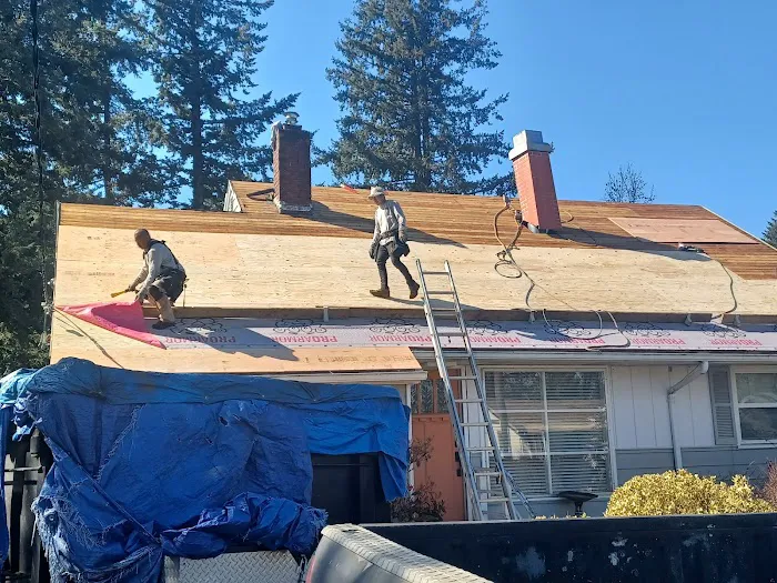 Official Fast & Son Roofing Picture 9