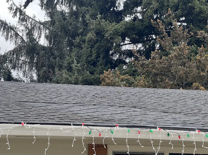 Giron Roofing Inc Picture 9