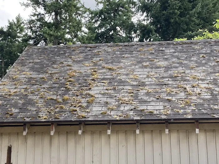 Bush-Hogs Construction LLC Picture 2