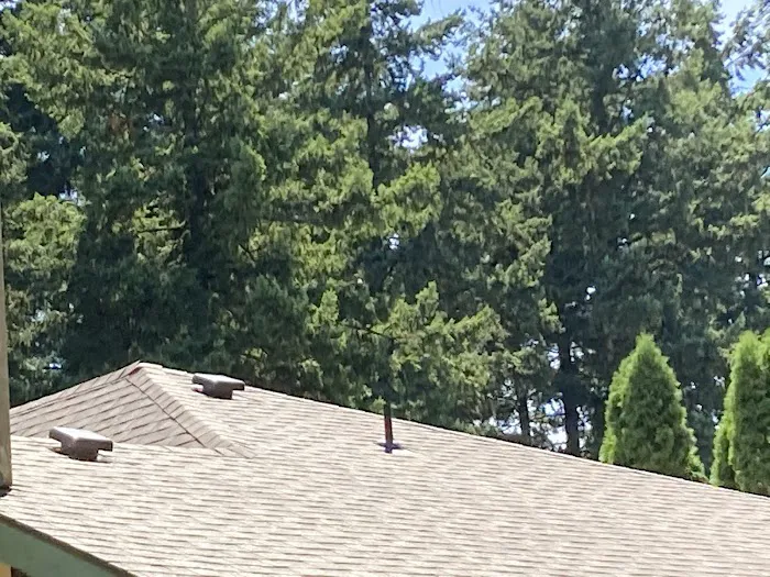 Bush-Hogs Construction LLC Picture 3