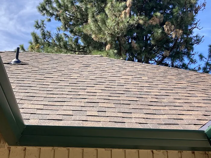 Bush-Hogs Construction LLC Picture 4